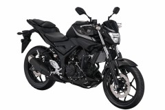 Yamaha MT-25 2017 trình làng với thay đổi nhẹ về thiết kế