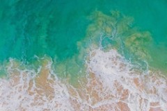 Bạn không thể kết nối với App Store trên iOS 11?Đây là cách sửa lỗi