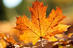 Cảm ngộ chiều mưa: Dưới này mưa trắng xóa, trên kia… xanh bao la