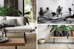 Chiến lược nào đã giúp IKEA chinh phục cả thế giới?