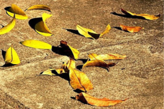 Giữa cõi trần vẩn vơ như khói sóng, chỉ ước sao ta… chẳng phải ước gì