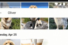 Google Photos đã có thể nhận diện thú nuôi, gom lại thành nhóm, tìm kiếm theo giống nòi