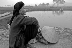 Hương sắc Việt Nam: Nhớ… bà tôi, một trăm năm ngọn cỏ hóa mây trời…