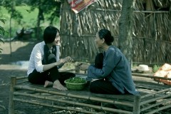 Hương sắc Việt Nam: Trước sau nào thấy bóng người, hoa đào năm ngoái còn cười gió đông?