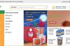 Kinh doanh trực tuyến: Tầm nhìn dài hạn trên hành trình chông gai