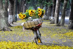 Lời từ biệt cuối mùa thu: Cả yêu thương, cả tủi hờn buồn giận, em ùa vào, em trút xuống mùa thu