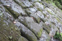 Phát hiện ‘thành phố của người khổng lồ’ trong rừng rậm Amazon ở Ecuador