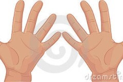 Tại sao con người có 10 ngón tay chứ không phải 9?Chuyên gia thần kinh đưa ra câu trả lời