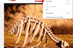 Hướng dẫn thay đổi tốc độ phát video trên Youtube