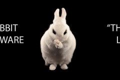Một loại ransomware tên Bad Rabbit xuất hiện và bắt đầu lây lan tại Nga và nhiều nước Đông Âu.