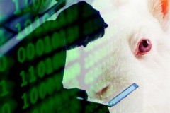 Cảnh báo: Ransomware tống tiền Bad Rabbit đang tấn công toàn cầu