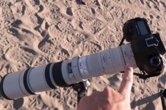 Chụp chân dung với mặt trăng khổng lồ bằng ống kính tiêu cự 1120mm