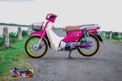 Dream EX5 Fi độ đáng yêu với sắc hồng đầy cá tính