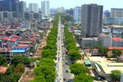 Hà Nội: Di dời cây xanh để đẩy nhanh tiến độ mở rộng đường Phạm Văn Đồng