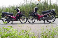 Song sinh Sirius độ khoe dáng giữa buổi chiều mưa bão