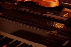 Thưởng thức tinh tế: Em có nghe tiếng cuối của mùa thu, lá vàng rơi và xoay xoay khe khẽ?