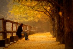 Thưởng thức tinh tế: Thu quyến rũ dịu dàng mơ mộng của Đoàn Chuẩn, người mơ không đến bao giờ?