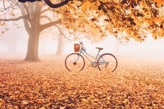 Cảnh thu trên khắp thế giới xuyến xao lòng người, chẳng phải ngẫu nhiên ta yêu thu đến vậy!