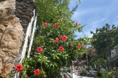 Hình ảnh mình chụp nhanh với HTC U11 Plus