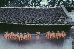 Chuyện kể về hai người phụ nữ quan trọng nhất trong đời: mẹ và ngoại tôi(P.2 )