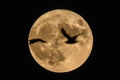 Cuối tuần này, chúng ta sẽ được chiêm ngưỡng siêu trăng