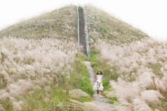 Đừng lỡ hẹn đồi cỏ lau trắng "Bình Liêu" đẹp như trong chuyện cổ tích