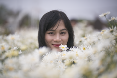 Họa mi thức giấc, em về tinh khôi…