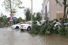 Hướng dẫn kiểm tra đường đi của bão Damrey trên điện thoại