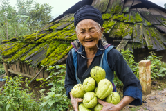 Hương sắc Việt Nam: Ở đâu cũng bóng dáng mẹ tần tảo mưu sinh, cũng nụ cười của bà rạng ngời hoa nắng…