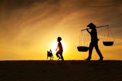 Hương sắc Việt Nam: Quê hương nếu ai không nhớ, sẽ không lớn nổi thành người…