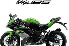 Hình ảnh rõ ràng về Kawasaki Ninja 125 và Z125
