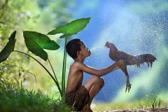 Lối cũ ta về: Thơ bé có mỗi trái tim, lớn lên ba nổi bảy chìm bể dâu