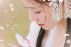 Mẫu đơn tri kỷ cùng thi nhân: Khoe rằng vẻ đẹp không đâu sánh, đệ nhất nhân gian một thứ hương(P.4 )