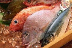 Na Uy ra mắt phương pháp bảo quản cá đông lạnh tươi ngon như mới bắt