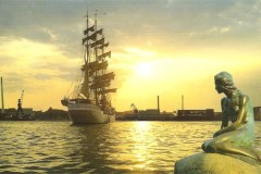 ‘Nàng tiên cá’ không chỉ là sản phẩm của trí tưởng tượng, bạn có tin?