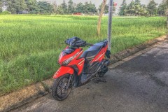 Ngắm Vario 150 độ khoe dáng giữa rừng lứa quê nhà