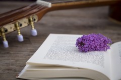 Thưởng thức tinh tế: Hồ Thiên Nga nổi tiếng của Tchaikovsky