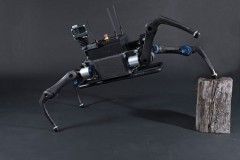 Thụy Điển trình làng robot 4 chân biết sử dụng cả thang máy lẫn thang bộ