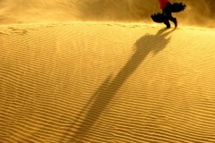 Ước một đêm trăng trời nồng không gió