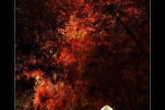 Về đây nghe em, về đây mặc áo the, đi guốc mộc: Nón lá đi cùng những mảnh đời Việt Nam lam lũ(P.3 )