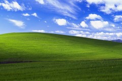 Ai dùng máy tính cũng biết 2 hình ảnh nổi tiếng này, nhưng bạn có biết giá trị của chúng?