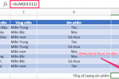 Cách sử dụng hàm SUM, SUMIF và SUMIFS cơ bản nhất