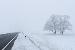 Lý do mùa đông khắc nghiệt hơn dù khí hậu ấm lên toàn cầu