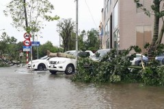 Theo dõi đường đi của bão Tembin 24/24 trên smartphone