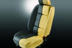 Ford đã nghiên cứu và thành công việc tái tạo đậu nành thành ghế ngồi