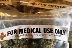 Đằng sau tin WHO khẳng định cần sa không gây hại đến sức khỏe. Thực tế là sao?