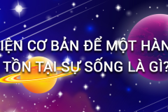 Để một hành tinh tồn tại sự sống cần có những điều kiện gì?