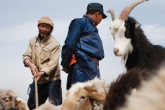 Tại sao con người lại có lòng khoan dung độ lượng?