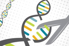 Kỹ thuật chỉnh sửa gen CRISPR có thể không hoạt động đối với hầu hết mọi người