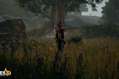 PUBG đã bán được ba triệu bản trên Xbox One